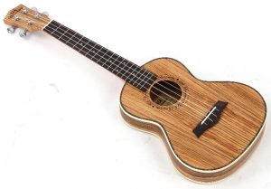 acoustic guitars four string