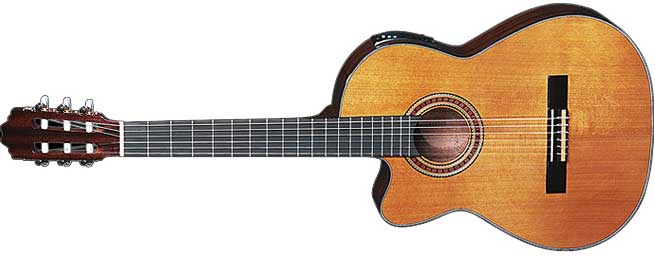 classical guitars type