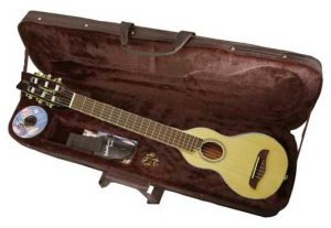 travel guitar washburn rover